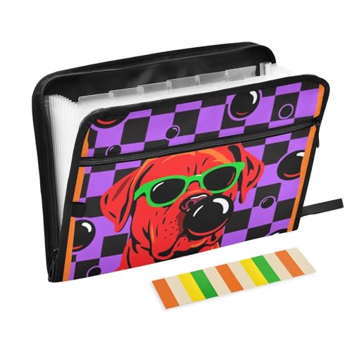 Fächermappe mit Etiketten, 13 Taschen, A4, Briefgröße mit Reißverschluss, für Papiere, Fächermappe, Labrador-Hund, Lila und Schwarz karierter Hintergrund, Carpetas de von KLL