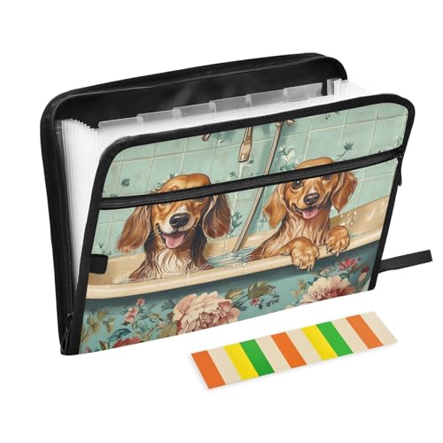 Hängeregistraturmappe, A4-Größe, Kunststoff, Fächermappe mit Reißverschluss, für Ernährungsberater-Menüs für Restaurants, niedliche Dackel, Hunde, Vintage-Badewanne von KLL