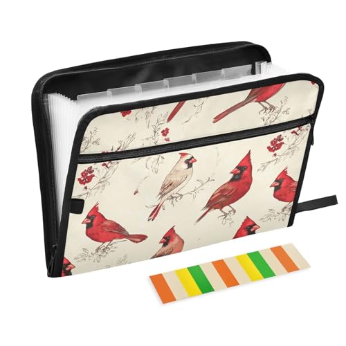 KLL Akkordeon-Aktenordner, Akkordeon-Aktenordner, Dokumentenmappe, Rechtsgröße, erweiterbar mit Taschen für Zahnärzte, Kunst, Nordvögel, Beige von KLL