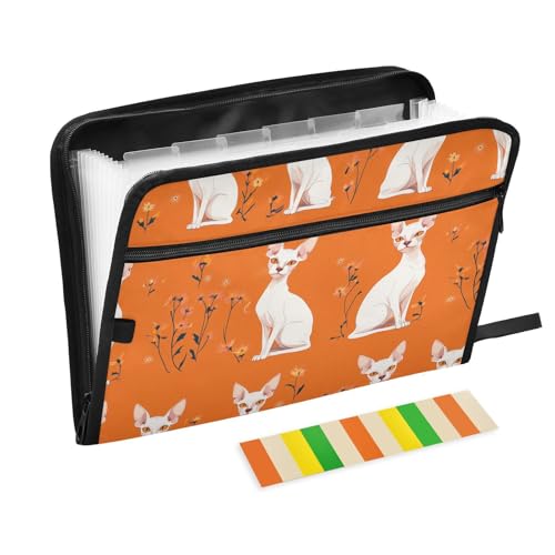 KLL Aktenordner für Dokumente, Kunststoff, Fächermappe mit Reißverschluss für Klassenzimmer, Beauty Sphynx Katzen, Orange KLL Aktenordner für Dokumente, Kunststoff, Fächermappe mit Reißverschluss für Klassenzimmer, Beauty Sphynx Katzen, Orange von KLL