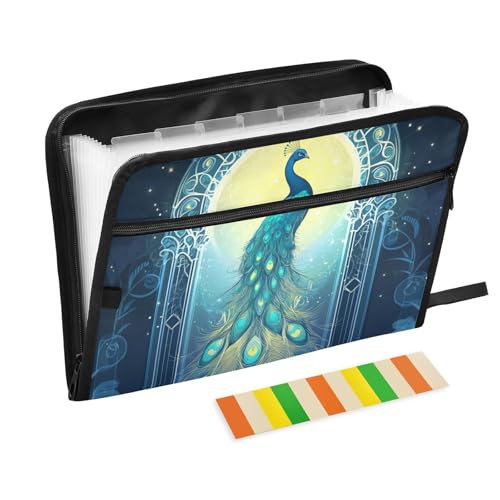 KLL Aktenordner mit Taschen, Büro-Aktenordner, Dokumententasche, Briefe mit Taschen für Auto, Pfauen-Tarot von KLL