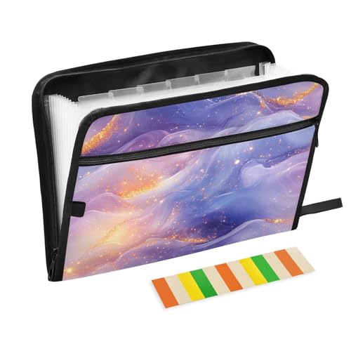 KLL Fächermappe, Akkordeon-Ordner, Akkordeon-Dokumenten-Organizer, Büro, Papier-Organizer mit Taschen für Krankenpflege, Pfirsichblau, Lila, Gold von KLL