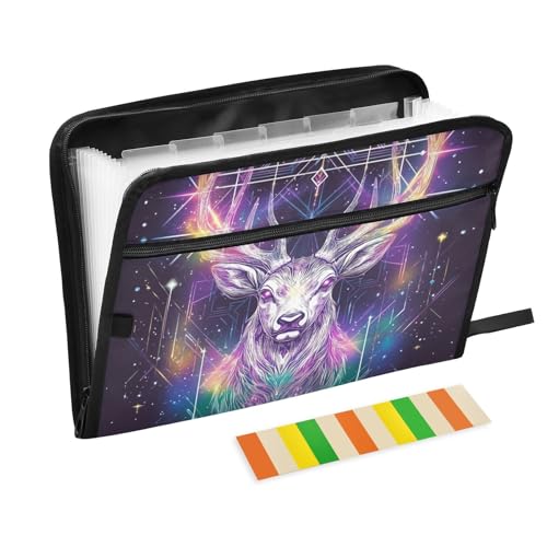KLL Fächermappen, Dateiordner, erweiterbarer Aktenordner, Kunststoff, Multi-Taschen-Ordner mit Taschen für Klassenzimmer, Hirsch-Tarot von KLL