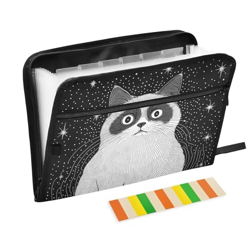 KLL Fächermappen, Fächermappe, Fächermappe, Kunststoff, legale Größe mit Reißverschluss, für Arbeit, ästhetische Ragdoll-Katze KLL Fächermappen, Fächermappe, Fächermappe, Kunststoff, legale Größe mit Reißverschluss, für Arbeit, ästhetische Ragdoll-Katze von KLL