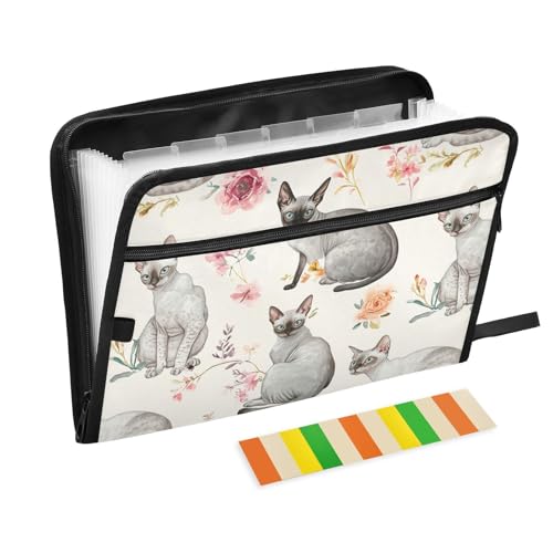 KLL Hängemappe, Akkordeon-Ordner, Poly-Erweiterungsmappe, kleine Datei, Organizer mit Taschen für Krankenpflege, lustige Cornish Rex Katzen, neutral von KLL