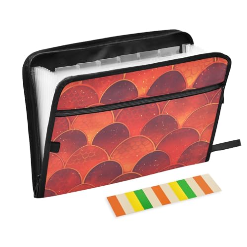 KLL Hängeregistratur-Ordner, Fächermappe, Organizer und Aufbewahrung mit Taschen für medizinische Referenzen, Farbverlauf, roter Drache, Maßstab, inspiriertes Muster KLL Hängeregistratur-Ordner, Fächermappe, Organizer und Aufbewahrung mit Taschen für medizinische Referenzen, Farbverlauf, roter Drache, Maßstab, inspiriertes Muster von KLL
