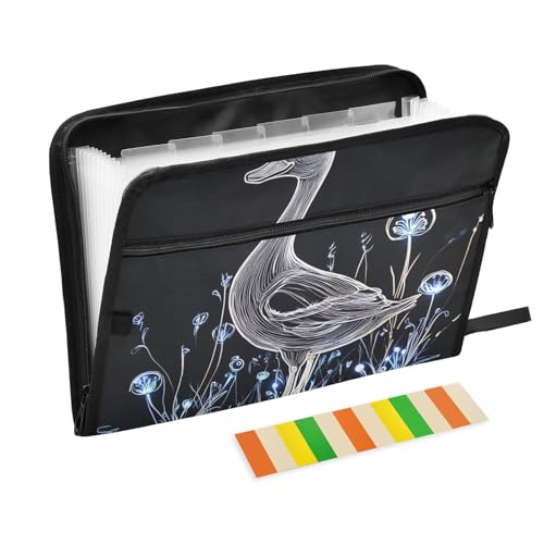 KLL Hängeregistratur-Ordner, Papier-Aktenordner, Organizer, Taschen-Hängeregister, Poly-Hängemappe mit Taschen für medizinische Referenzen, ästhetische Haustierente von KLL