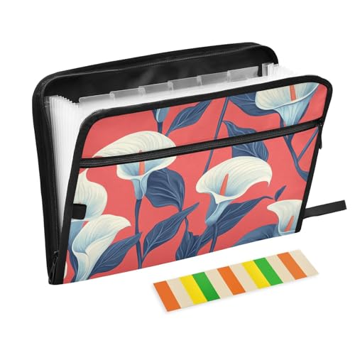 Lily Calla Dokumentenmappe mit Verschluss, 13 Taschen, A4, Briefgröße mit Reißverschluss, für Dokumentenaufbewahrung, erweiterbarer Ordner mit Trennwänden, Organizer Lily Calla Dokumentenmappe mit Verschluss, 13 Taschen, A4, Briefgröße mit Reißverschluss, für Dokumentenaufbewahrung, erweiterbarer Ordner mit Trennwänden, Organizer von KLL