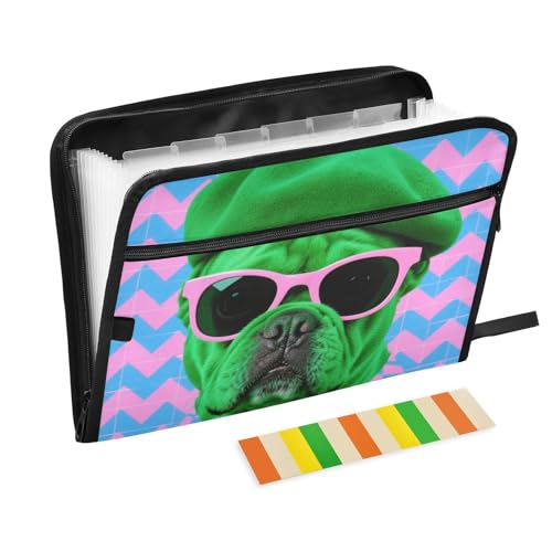 Pop-Art-Fächermappe mit lustigem Hund, 13 Fächer, A4, Briefgröße mit Reißverschluss, für Zuhause, Büro, Aktenordner, Carpeta de Pop-Art-Fächermappe mit lustigem Hund, 13 Fächer, A4, Briefgröße mit Reißverschluss, für Zuhause, Büro, Aktenordner, Carpeta de von KLL