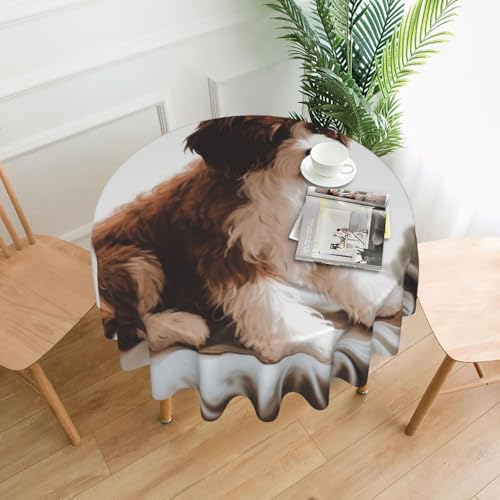 KLLTYHMU Runde Tischdecken, 152,4 cm, wasserdicht, flecken- und knitterfrei, runde Tischdecke, Haustier, Hund, dekorative Bauernhaus-Tischdecke für Picknick, Party, Esszimmer, Zuhause, Innen- und KLLTYHMU Runde Tischdecken, 152,4 cm, wasserdicht, flecken- und knitterfrei, runde Tischdecke, Haustier, Hund, dekorative Bauernhaus-Tischdecke für Picknick, Party, Esszimmer, Zuhause, Innen- und von KLLTYHMU