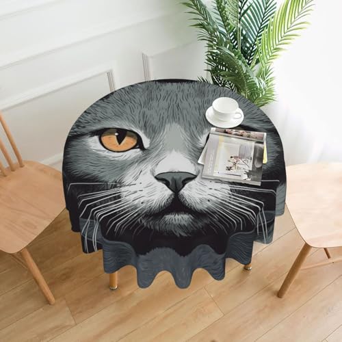 KLLTYHMU Runde Tischdecken, 152,4 cm, wasserdicht, flecken- und knitterfrei, runde Tischdecke, Katzen, dekorative Bauernhaus-Tischdecke für Picknick, Party, Esszimmer, Zuhause, Innen- und Außenbereich KLLTYHMU Runde Tischdecken, 152,4 cm, wasserdicht, flecken- und knitterfrei, runde Tischdecke, Katzen, dekorative Bauernhaus-Tischdecke für Picknick, Party, Esszimmer, Zuhause, Innen- und Außenbereich von KLLTYHMU