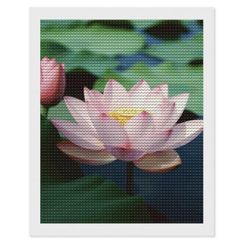 Diamond Painting Kits für Erwachsene Diamond Art Kit für Anfänger Blumen 5D DIY Full Round Diamond Art Craft Kits für Erwachsene für Home Wall Decor von KLWQR