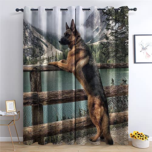 Exquisite Verdunkelungsvorhänge, Deutscher Schäferhund, Vorhänge für Schlafzimmer und Wohnzimmer, Verdunkelungsvorhänge mit 90 Länge – wärmeisolierte Vorhänge mit Ösen, gemusterte Fenstervorhänge, 116 Exquisite Verdunkelungsvorhänge, Deutscher Schäferhund, Vorhänge für Schlafzimmer und Wohnzimmer, Verdunkelungsvorhänge mit 90 Länge – wärmeisolierte Vorhänge mit Ösen, gemusterte Fenstervorhänge, 116 von KLZUOPT