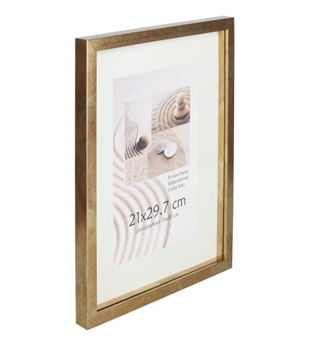 KM Foto 3D Objektrahmen Holz Bilderrahmen Shirt Trikot Rahmen Collage Wanddeko Poster S220: Farbe: Gold-Antik | Format: 50x70 KM Foto 3D Objektrahmen Holz Bilderrahmen Shirt Trikot Rahmen Collage Wanddeko Poster S220: Farbe: Gold-Antik | Format: 50x70 von KM Foto