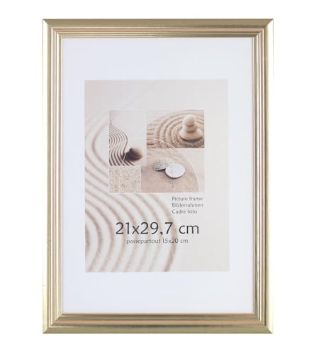 S216 Holz Bilderrahmen Acrylglas Lifestyle Foto Rahmen Collage Wanddeko Poster: Farbe: Gold | Format: 29,7x42 DIN A3 von KM FOTO