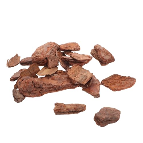 KOCKSHION 1 Packung Naturbelassene für Miniaturlandschaften Handgefertigte Modellmaterialien für Mikro Szenen Realistische Küstenlandschaften für Dioramen und Bastelprojekte von KOCKSHION
