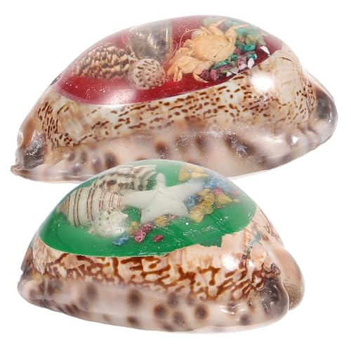 KOCKSHION 2 Stück Dekorative Deko Naturkonchenschalen für Hochzeits und Aquariendekoration Handgefertigte Muschelkunst Zufällige Farben für Strandthemen Zufällige Farbe KOCKSHION 2 Stück Dekorative Deko Naturkonchenschalen für Hochzeits und Aquariendekoration Handgefertigte Muschelkunst Zufällige Farben für Strandthemen Zufällige Farbe von KOCKSHION