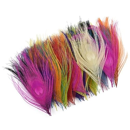 10 Stück farbige Pfauendekoration, Augenschmuck, 10–15 cm, echte Pfauenfedern, Party-Dekoration, Basteln, Karneval von KOGMMYSEVP
