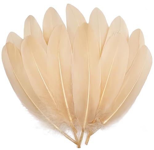 100 Stück braune Gänsefedern, 15,2 - 20,3 cm, für Bastelarbeiten, Hochzeit, Party, Dekoration, Kleidung, Hüte, Accessoires, Traumfänger 100 Stück braune Gänsefedern, 15,2 - 20,3 cm, für Bastelarbeiten, Hochzeit, Party, Dekoration, Kleidung, Hüte, Accessoires, Traumfänger von KOGMMYSEVP