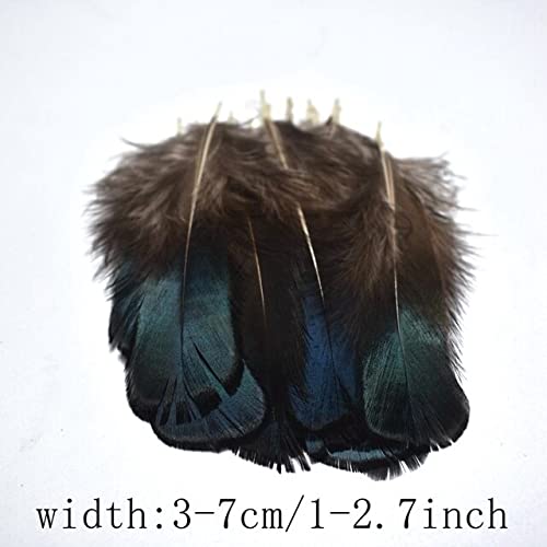 20–100 natürliche Fasanenfedern für Kleidung, DIY, Pfauenfedern für Schmuckherstellung, Dekoration, Huhn, 20 Stück 20–100 natürliche Fasanenfedern für Kleidung, DIY, Pfauenfedern für Schmuckherstellung, Dekoration, Huhn, 20 Stück von KOGMMYSEVP