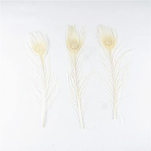 20 Teile/los Natürliche Gefärbt Pfau Federn 25-32cm DIY Schmuck Dekoration Armaturen Handwerk Federn für Handwerk von KOGMMYSEVP