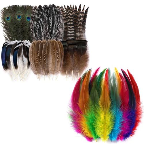 48 Stück natürliche Federn in 6 Stilen, Großpackung und 200 Stück 12,7–17,8 cm bunte Hahnfedern für Bastelarbeiten, Schmuck, Hut, Hochzeit, Zuhause, Party-Dekoration 48 Stück natürliche Federn in 6 Stilen, Großpackung und 200 Stück 12,7–17,8 cm bunte Hahnfedern für Bastelarbeiten, Schmuck, Hut, Hochzeit, Zuhause, Party-Dekoration von KOGMMYSEVP