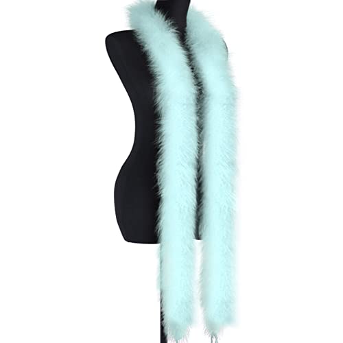 Federboa-Streifen, 2 m, bunte Federboa, Federstreifen, Dekoration, Verkleidungszubehör, super weich, flauschig, Federstreifen, Hochzeit, Karneval, Dekorationen von KOGMMYSEVP