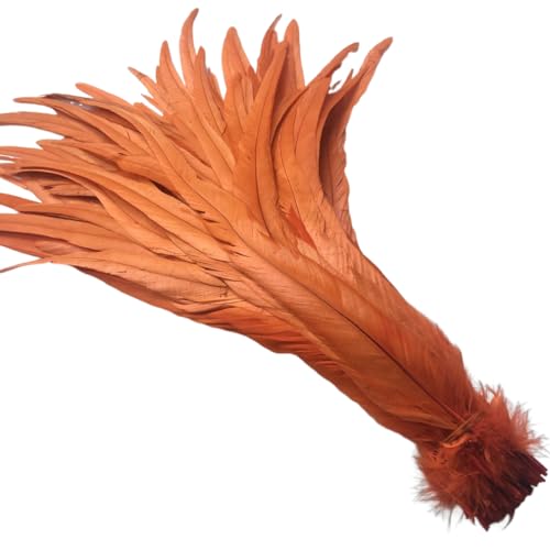 KOGMMYSEVP 12-14 Zoll Schwanz Schwanz gebrauchte Hüte Kostüm Dekoration Pack von 50 KOGMMYSEVP 12-14 Zoll Schwanz Schwanz gebrauchte Hüte Kostüm Dekoration Pack von 50 von KOGMMYSEVP