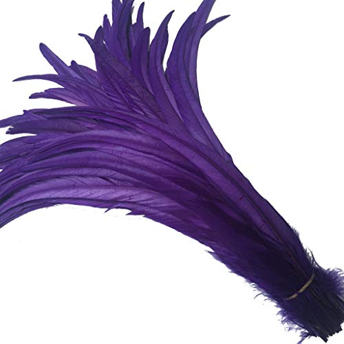 KOGMMYSEVP 30,5–35,6 cm Hahnenschwanz, gebrauchte Hüte, Kostümdekoration, 50 Stück KOGMMYSEVP 30,5–35,6 cm Hahnenschwanz, gebrauchte Hüte, Kostümdekoration, 50 Stück von KOGMMYSEVP