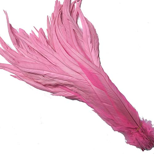 KOGMMYSEVP 30,5–35,6 cm Hahnenschwanz, gebrauchte Hüte, Kostümdekoration, 50 Stück von KOGMMYSEVP