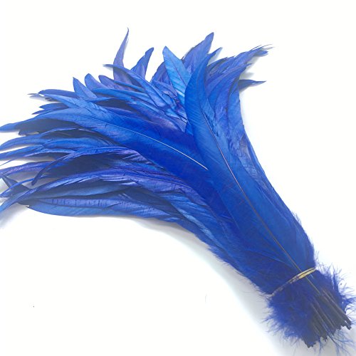 KOGMMYSEVP 30,5–35,6 cm Hahnenschwanz, gebrauchte Hüte, Kostümdekoration, 50 Stück von KOGMMYSEVP
