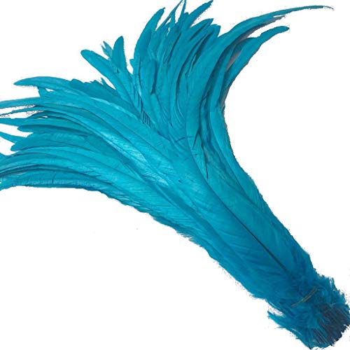 KOGMMYSEVP 30,5–35,6 cm Hahnenschwanz, gebrauchte Hüte, Kostümdekoration, 50 Stück von KOGMMYSEVP