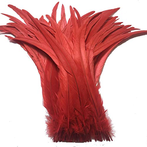 KOGMMYSEVP 30,5–35,6 cm Hahnenschwanz, gebrauchte Hüte, Kostümdekoration, 50 Stück von KOGMMYSEVP