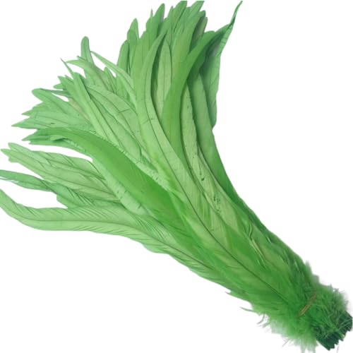 KOGMMYSEVP 30,5–35,6 cm Hahnenschwanz, gebrauchte Hüte, Kostümdekoration, 50 Stück von KOGMMYSEVP