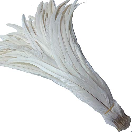 KOGMMYSEVP 30,5–35,6 cm Hahnenschwanz, gebrauchte Hüte, Kostümdekoration, 50 Stück von KOGMMYSEVP