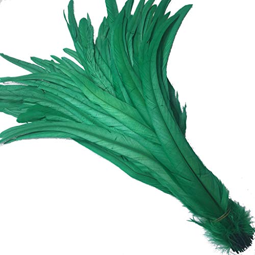 KOGMMYSEVP 30,5–35,6 cm Hahnenschwanz, gebrauchte Hüte, Kostümdekoration, 50 Stück von KOGMMYSEVP