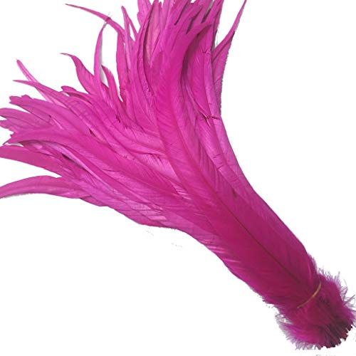 KOGMMYSEVP 30,5–35,6 cm Hahnenschwanz, gebrauchte Hüte, Kostümdekoration, 50 Stück von KOGMMYSEVP