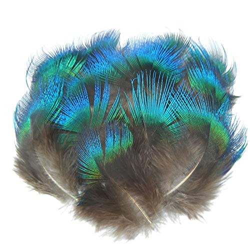 Natürliche schillernde blaue Pfauenfedern zum Basteln, 3–5 cm, Schmuckherstellung, Weihnachten, Kostüm, Karneval, 20 Stück Natürliche schillernde blaue Pfauenfedern zum Basteln, 3–5 cm, Schmuckherstellung, Weihnachten, Kostüm, Karneval, 20 Stück von KOGMMYSEVP