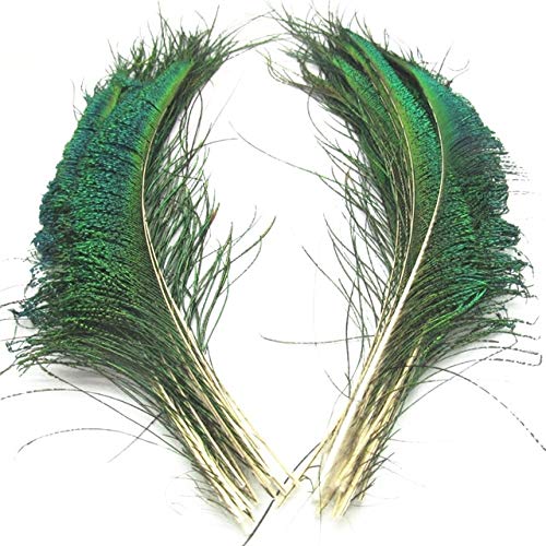 Pfauenfedern, Flügel, 30,5–35,6 cm, Pfauen-Schmuck, Pfauen-Dekoration, Bastelfedern für Kleidung, natürlich, 20 Stück Pfauenfedern, Flügel, 30,5–35,6 cm, Pfauen-Schmuck, Pfauen-Dekoration, Bastelfedern für Kleidung, natürlich, 20 Stück von KOGMMYSEVP