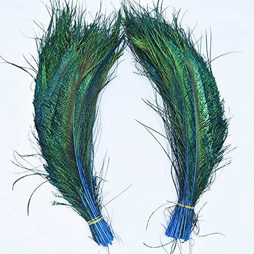 Pfauenfedern, Flügel, 30,5–35,6 cm, Pfauen-Schmuck, Pfauen-Dekoration, Bastelfedern für Kleidung, natürlich, 20 Stück Pfauenfedern, Flügel, 30,5–35,6 cm, Pfauen-Schmuck, Pfauen-Dekoration, Bastelfedern für Kleidung, natürlich, 20 Stück von KOGMMYSEVP