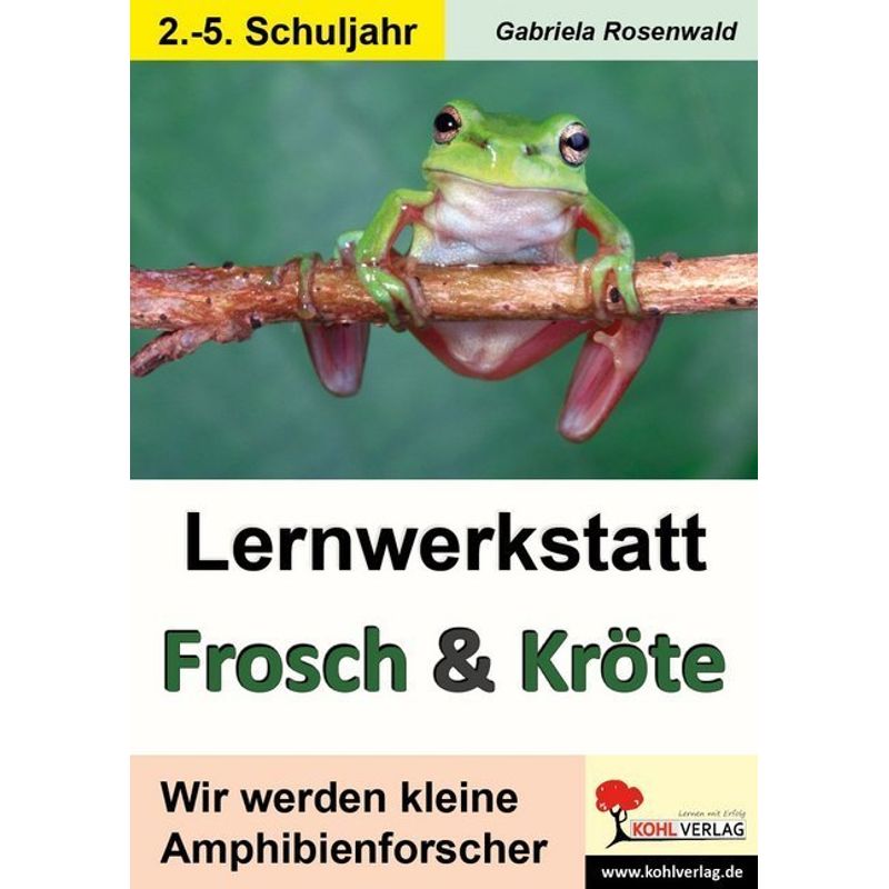 Lernwerkstatt Frosch & Kröte - Gabriela Rosenwald, Kartoniert (TB) von KOHL VERLAG Der Verlag mit dem Baum