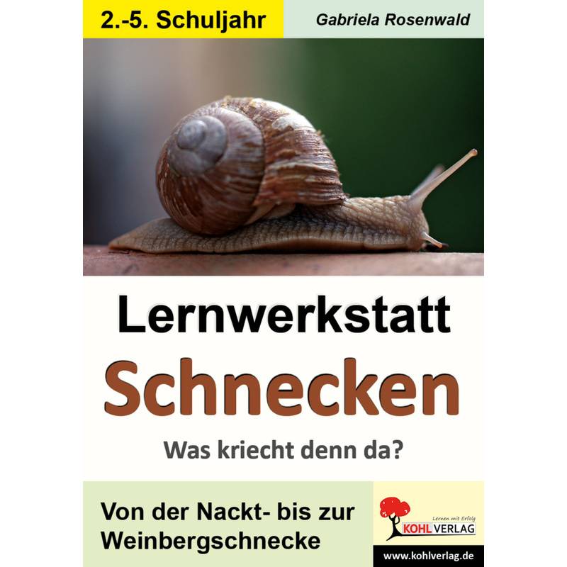 Lernwerkstatt / Lernwerkstatt Schnecken - Gabriela Rosenwald, Kartoniert (TB) von KOHL VERLAG Der Verlag mit dem Baum