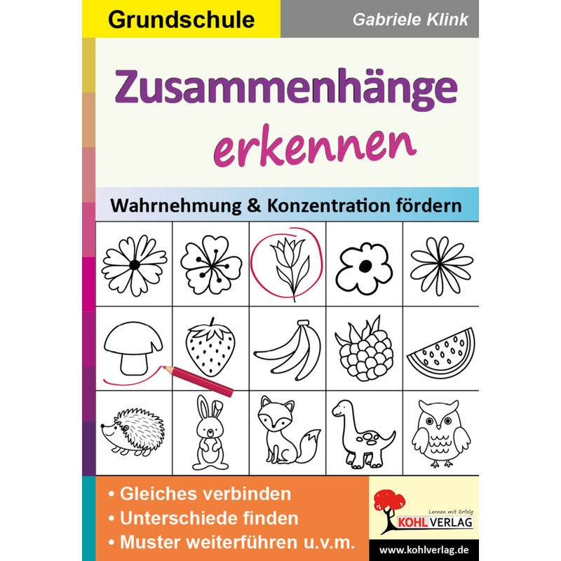 Zusammenhänge Erkennen / Grundschule - Gabriele Klink, Kartoniert (TB) von KOHL VERLAG Der Verlag mit dem Baum