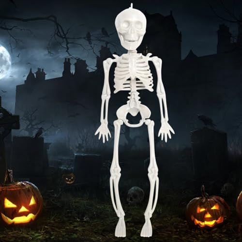Halloween Skelett, Halloween Skelette Ganzkörper Skelette 28CM, Hängende Skelette, Halloween Deko Skelett, Bewegliche Gelenkknochen, Halloween Friedhof Dekorationen, Spukhaus Zubehör von KOIROI