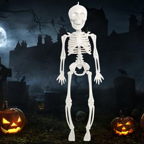 Halloween Skelett, Halloween Skelette Ganzkörper Skelette 28CM, Hängende Skelette, Halloween Deko Skelett, Bewegliche Gelenkknochen, Halloween Friedhof Dekorationen, Spukhaus Zubehör Halloween Skelett, Halloween Skelette Ganzkörper Skelette 28CM, Hängende Skelette, Halloween Deko Skelett, Bewegliche Gelenkknochen, Halloween Friedhof Dekorationen, Spukhaus Zubehör von KOIROI