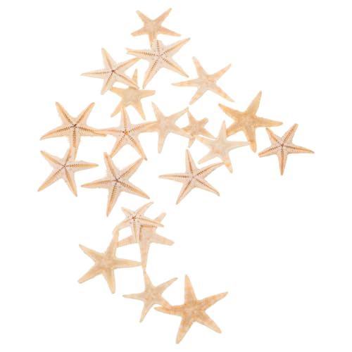 KOMBIUDA 20 Stück Mini-seestern Deko Ornamente Für DIY Epoxidharz-Accessoires Strand-Dekorationen Natürliche Kerzen-Verzierungen KOMBIUDA 20 Stück Mini-seestern Deko Ornamente Für DIY Epoxidharz-Accessoires Strand-Dekorationen Natürliche Kerzen-Verzierungen von KOMBIUDA