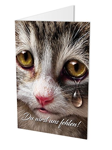 Maxi-Karte KATZE, Klappkarte Katze DIN A4 mit Kuvert, Abschiedskarte Kollegen, Zum Abschied, Verabschiedung, Ruhestand von KOMIRO