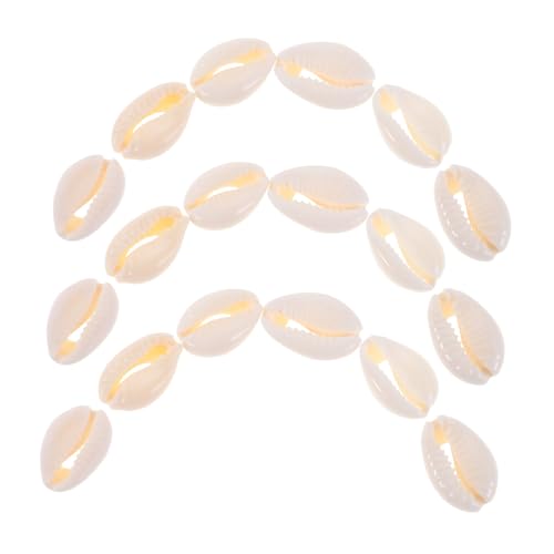 KONTONTY 100 Stück Natürliche Spiralmuscheln Perlen ohne Mittlere Vielseitige Muschelperlen für DIY Schmuckherstellung Armbänder Halsketten Vasenfüllung und Partydekoration im Strandstil KONTONTY 100 Stück Natürliche Spiralmuscheln Perlen ohne Mittlere Vielseitige Muschelperlen für DIY Schmuckherstellung Armbänder Halsketten Vasenfüllung und Partydekoration im Strandstil von KONTONTY
