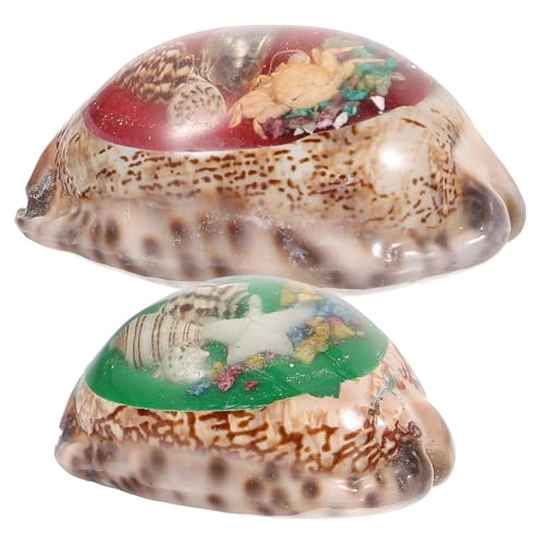 KONTONTY 2 Stück Natürliche Dekoration Glatte Kanten für Aquarien und Heimdekoration Handspielzeug Bastelbedarf Strand Thema Zufällige Farben Zufällige Farbe Zufällige Farbe von KONTONTY