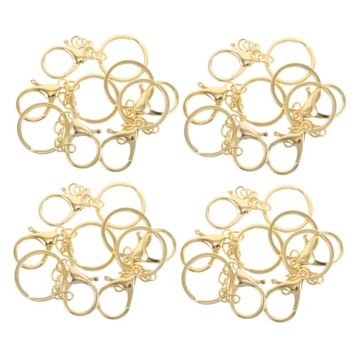 KONTONTY 20 Stück Kleine Hummerklaue Clips mit Ketten Schlüsselanhänger für DIY Bastelarbeiten Stabile Metall Schlüsselringe Langlebige Schlüsselanhänger Zubehörteile Eisen KONTONTY 20 Stück Kleine Hummerklaue Clips mit Ketten Schlüsselanhänger für DIY Bastelarbeiten Stabile Metall Schlüsselringe Langlebige Schlüsselanhänger Zubehörteile Eisen von KONTONTY
